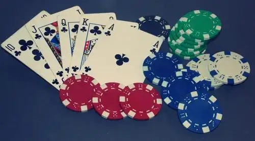 Tampilan Sports Betting pulitoto pada layar smartphone dengan navigasi mudah dan fitur lengkap